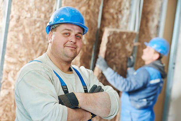 Best Energy Efficiency Solutions in Riverside, IL