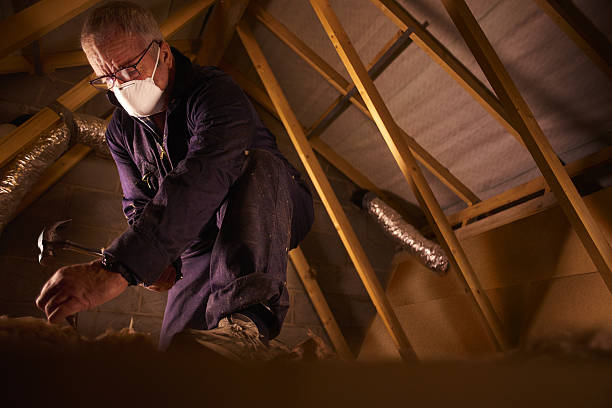 Best Insulation Materials and Products in Riverside, IL